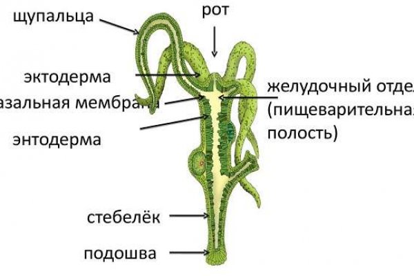 Кракен даркнет kraken014 com